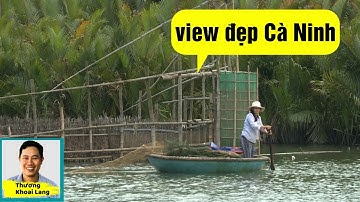 Rừng dừa nước Cà Ninh view đẹp hút hồn