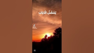 قران كريم ايات تريح القلب اجمل صوت قران كريم #quranhearts