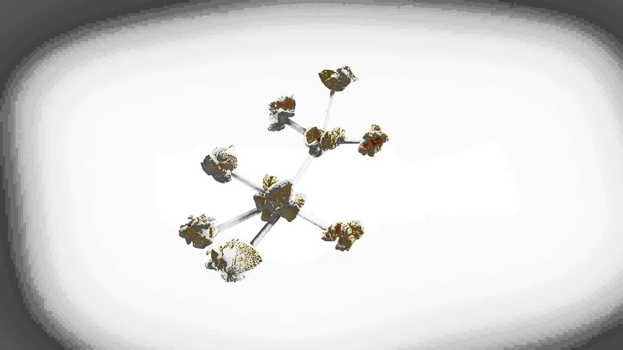 CineGlobe Film Festival - Transition Animation