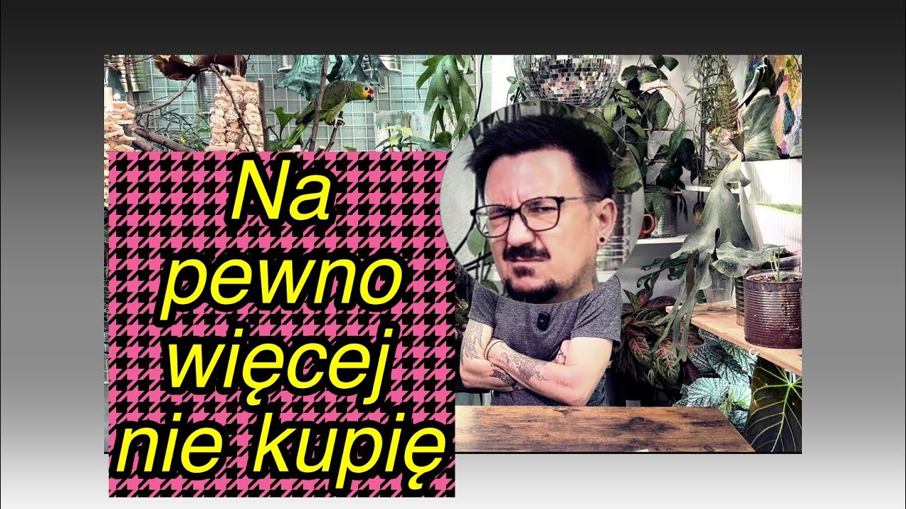 „Robisz wszystko dobrze… a one i tak nie rosną! 😱 9 roślin-buntowniczek”