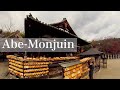 Beautiful autumn leaves Abe-Monjuin temple 安倍文殊院 Buddha of Wisdom Nara 2020.12.15 insta360 ONE R