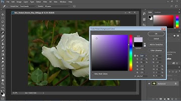 Photoshop Tutorial for Beginners - 13 - Color Replacement Tool