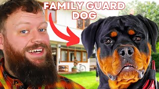 Top Family Guard Dog For You by Will Atherton Canine Show 23,046 views 9 months ago 4 minutes, 29 seconds