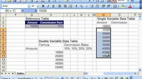 Excel 2003 Tutorial Structuring a Single variable Data Table Microsoft Training Lesson 29.3