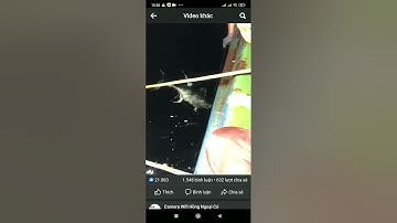 Các em cũng nên biết về cha, anh mình đánh bắt cá biển như  thế nào...