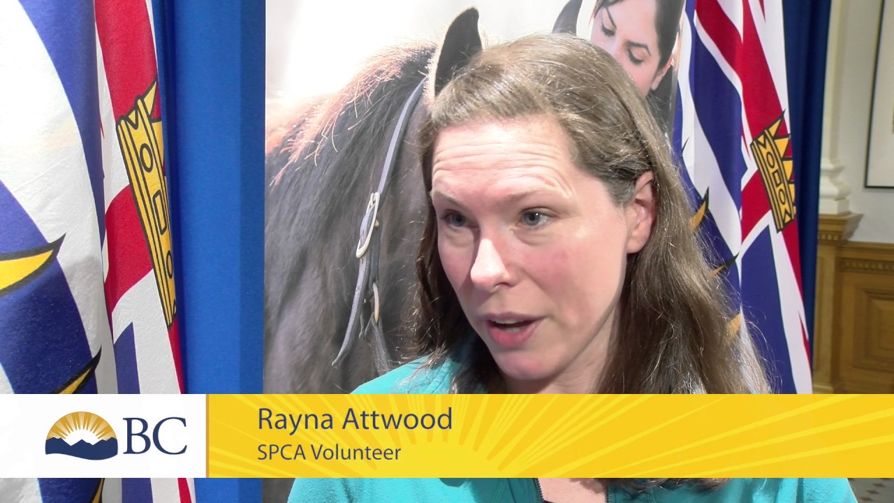 Legislation strengthens animal welfare protection