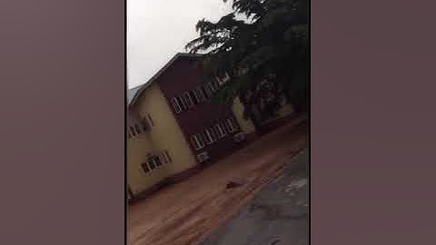 Google local guide connect live 2020 application video