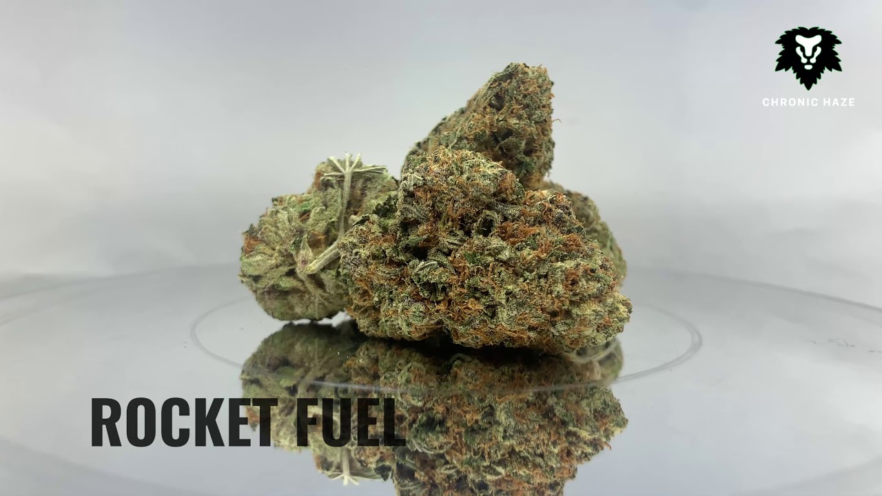 Chronic Haze - Rocket Fuel