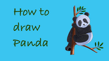How to draw Panda, Procreate, time - lapse video / Ep. 003