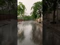 There was a thunderstorm and heavy rain while I was walking for exercise! #rain