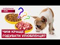 ШОК! М'ясний раціон ШКОДИТЬ собакам і котам? Який корм НЕОБХІДНИЙ кожному улюбленцю?