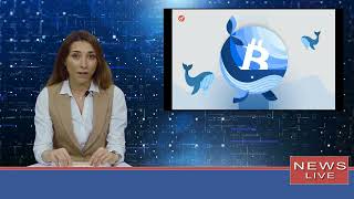 Santiment: grandes players acumularam mais de 40.000 BTC em duas semanas