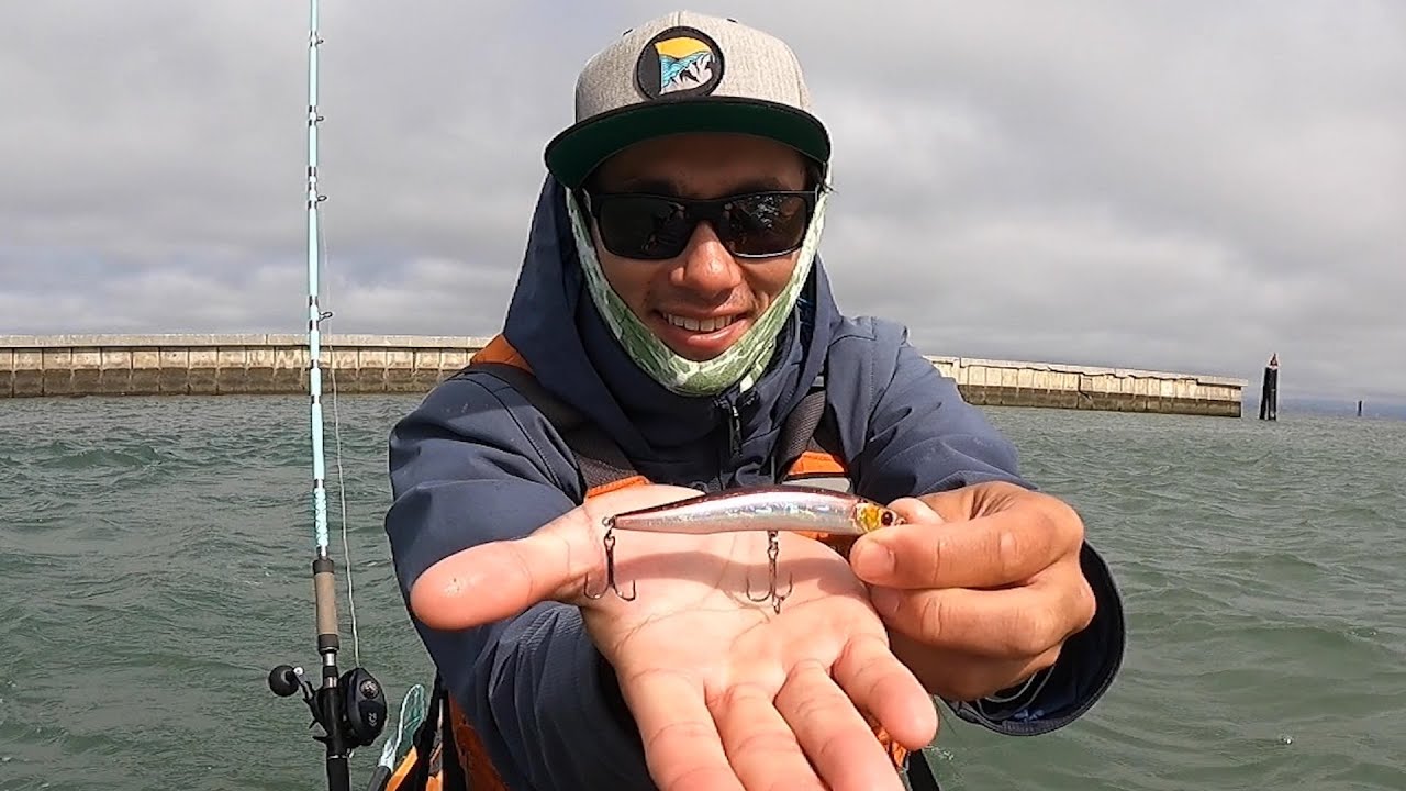 Fishing the San Francisco Bay with this TINY JERKBAIT 