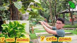 : ,      !