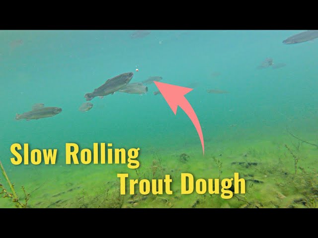 How to Use Powerbait  Trout Fishing 