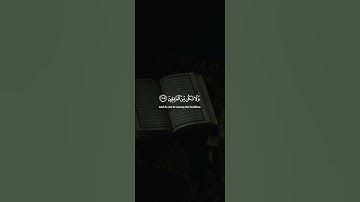 اكتب شيء تؤجر عليه 😴💚 قرآن كريم | ياسر الدوسري