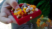 Шри Govinda das