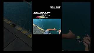 フィールドレポートを更新しました。ローリングベイト48リップレスでメッキ 連発。@和歌山県 #shorts  #ライトゲーム　#メッキ