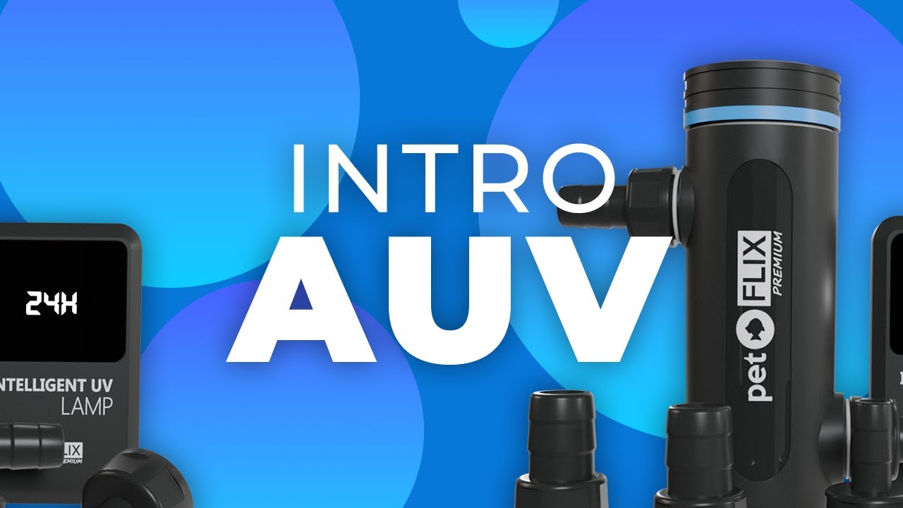 ACABE com a ÁGUA VERDE do aquário: Filtro UV Anfíbio Pet Flix AUV-10 #aquarismo #aquarium #peixe