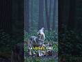 5 Faits Sur Les Animaux Qui Vont Te Donner Envie De Les Protéger (Le Numéro 1 Est terrifiant)#shorts