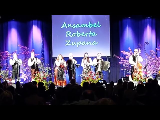 Zupan Ansambel - Berg