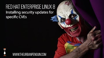 Install and List Red Hat Enterprise Linux Security Updates and CVEs