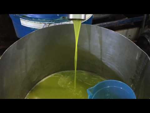 في معصرة الزيتون البشارات الجزء ٢