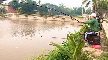 Câu cá chép Bài mồi mới câu cá chép mùa đông ✅ #carophi #LAMCAUDAI#cáchépkhủng