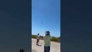 #rcplane #rcjet #flyby