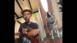 Dog Singing Duets