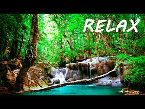 Relaxing Music - Flute, Gentle Birds and Rainforest Sound