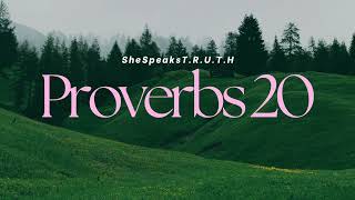 Proverbs 20 NLT