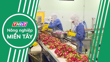 Thủ tướng yêu cầu tăng cường truy xuất nguồn gốc nông, lâm, thủy sản xuất khẩu | NN Miền Tây