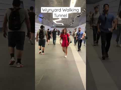 Wynyard Walking Tunnel #shorts #subscribe #trending #viral #travel #australia #sydney #foryou #fyp