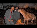 Casuumada warabaha jigjiga to harar  face to face with a hyena 
