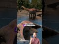 🚨New Dino Dropped🚨