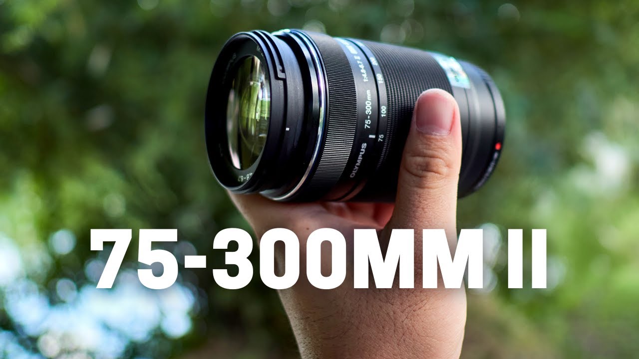 Olympus 75-300mm F4.8-6.7 II - The Underrated Super Telephoto Zoom