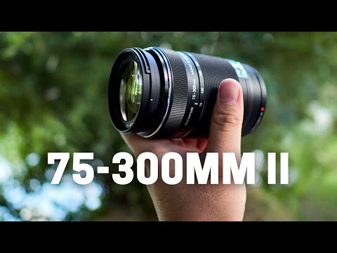 Olympus 75-300mm F4.8-6.7 II - The Underrated Super Telephoto Zoom Lens