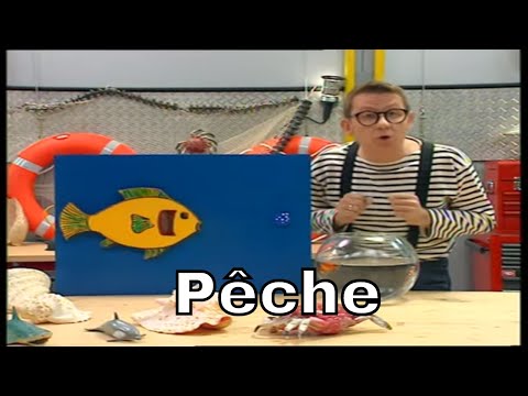 Vidéo: Qu'est-ce que c'est que le poisson pout pout ?