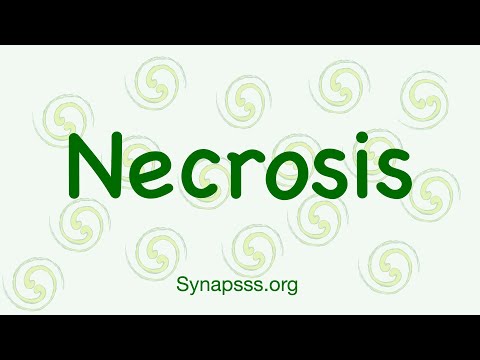 Necrosis, definition, morphology, nuclear changes, mechanisms, types