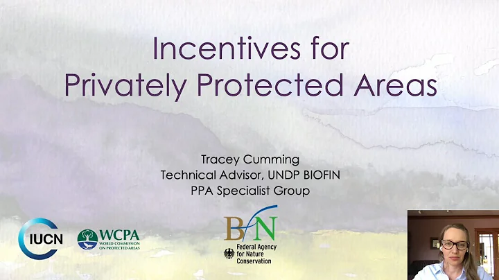 3 Incentives for PPAs  Tracey Cumming