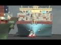 131109 Shipspotting Rotterdam Maersk McKinney Moller