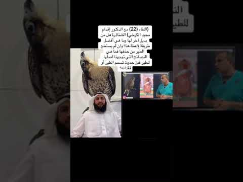 ماهو البديل عن الشناذرة الدكتور إقدام مجيد الكرخي