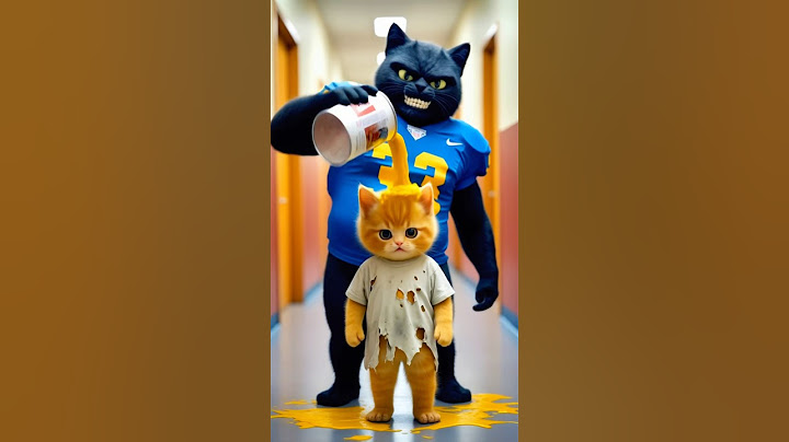 The Story of the Yellow Kitten: From Victim to Champion! 🏆 #school #motivation #cat #respect