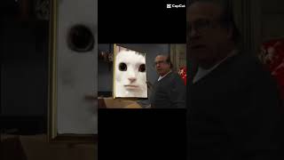 "the Smug aura mocks me." #kitty #memes