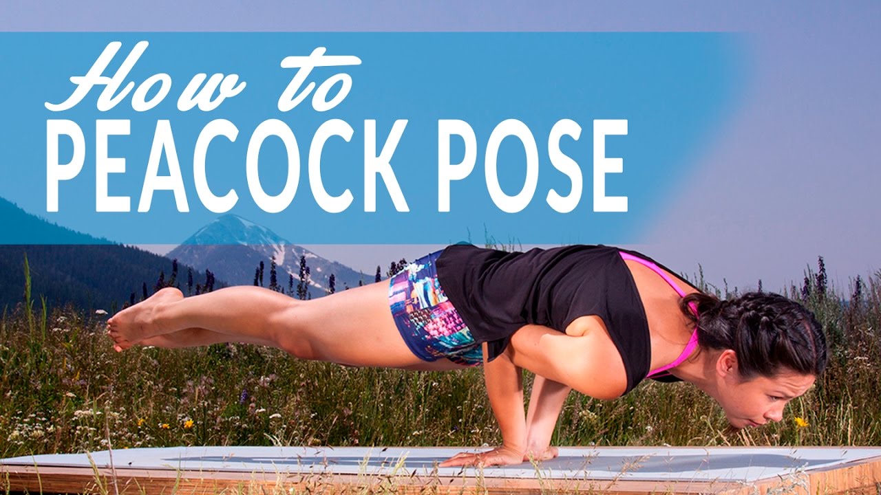 HowTo Peacock Pose or Mayurasana with Mona Godfrey