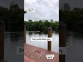 Milton is starting to make his presence known in SW Florida. #Shorts #measuredmacros