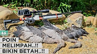 Hunting‼️POINTS ABUNDANT💥