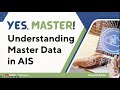 YES, MASTER! Part 1 : Understanding Master Data | Accounting Information Systems