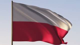 Poland Flag | Polska flaga | ROYALTY FREE [4K] 20 SEC LOOP screenshot 1